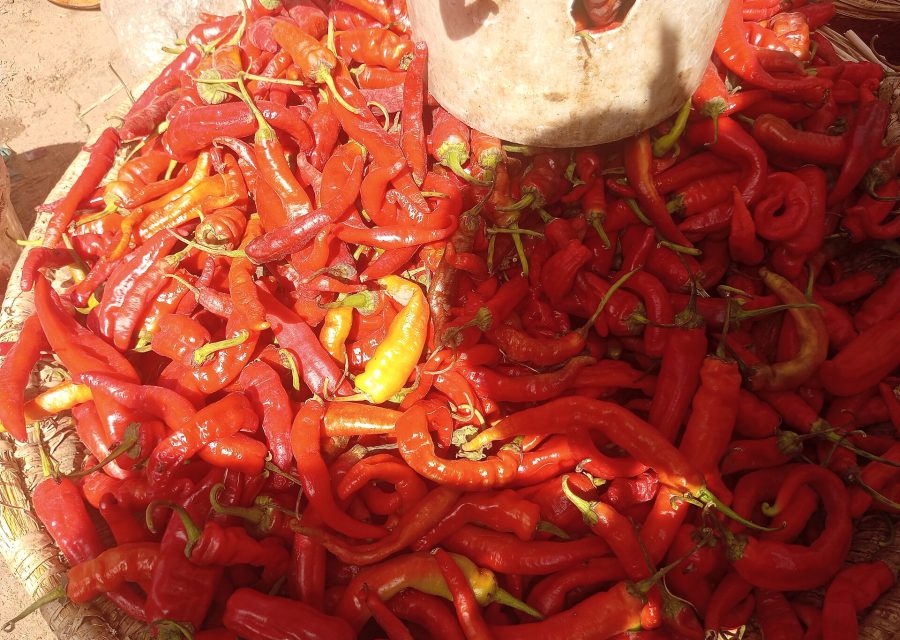 Peppers
