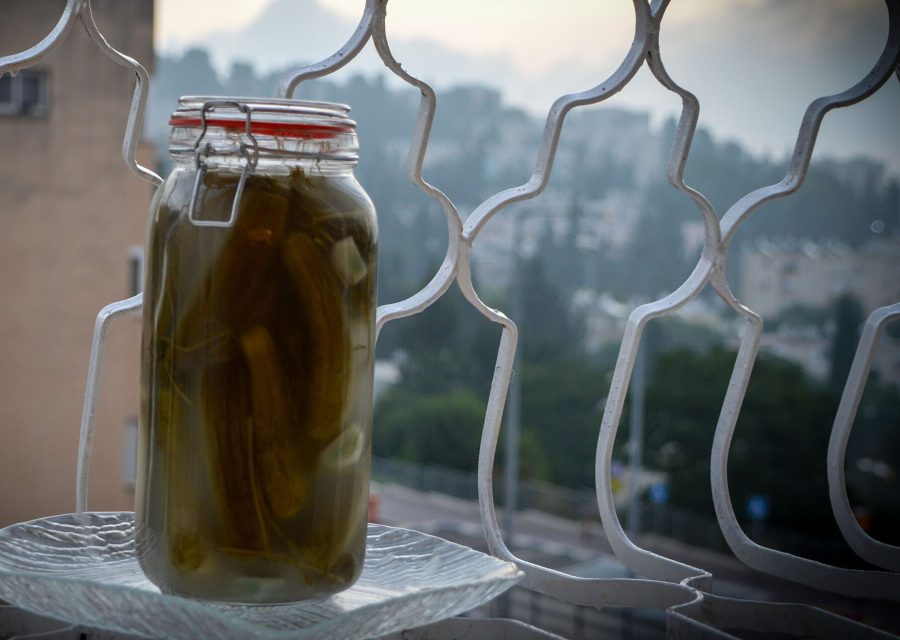 Pickled Cucumbers