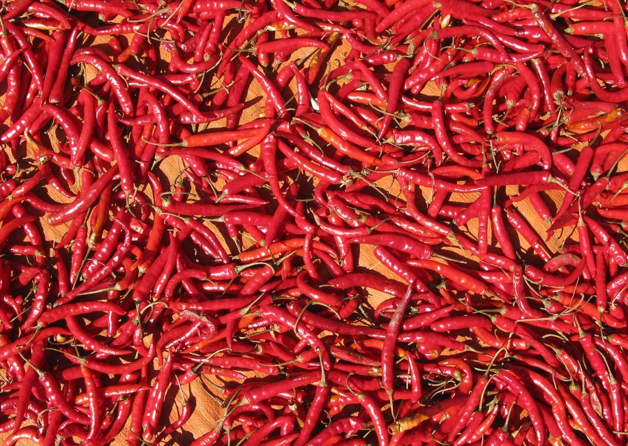 Greek Peppers
